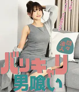 图鉴记录六封面
